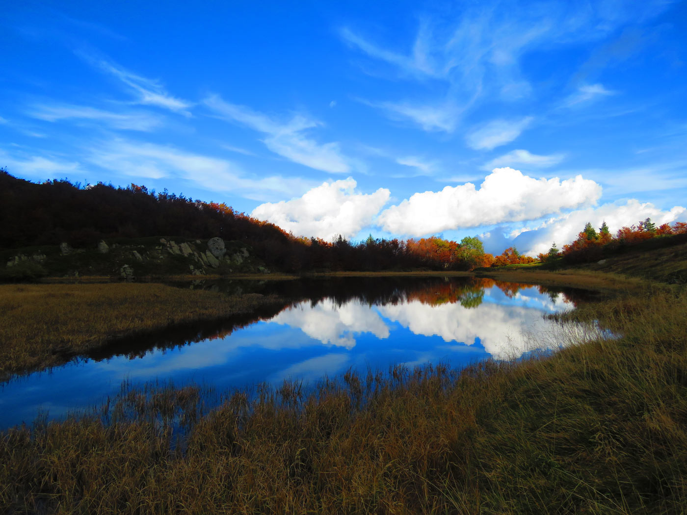 Black Lake Pistoia