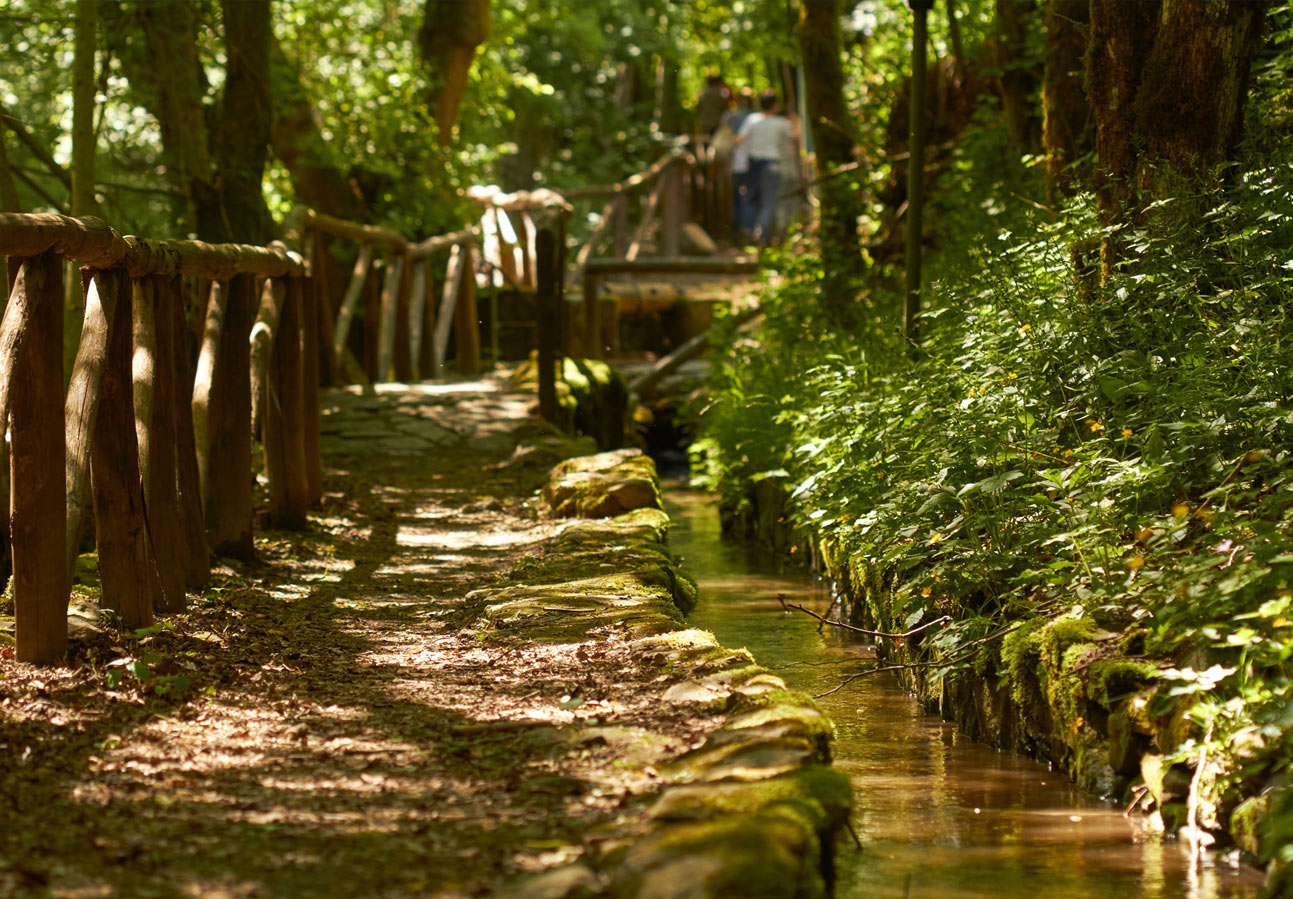 Trekking Ghiacciaia Pistoia